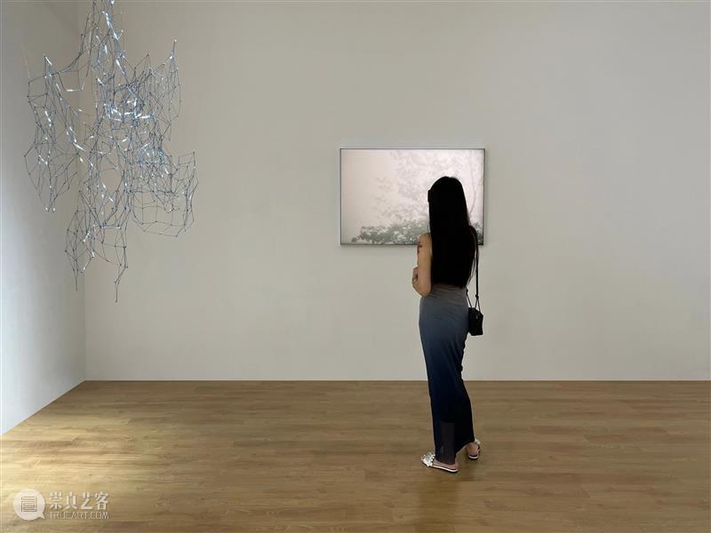 新氧艺O2art | 策展文章及展览现场 | 群展「风过疏竹」 崇真艺客