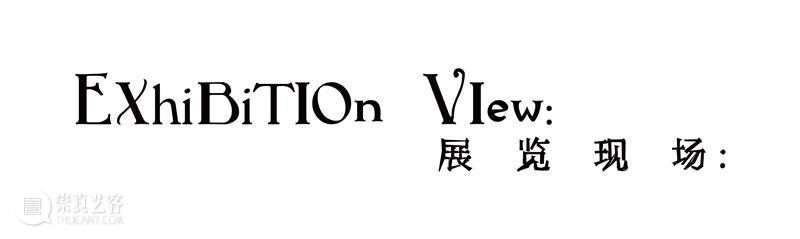 展览现场|咻咻 叽 咕 呖呖 卟噜卟噜 xiū xiū jī gū? lì lì? bǔ lū bǔ lū 崇真艺客