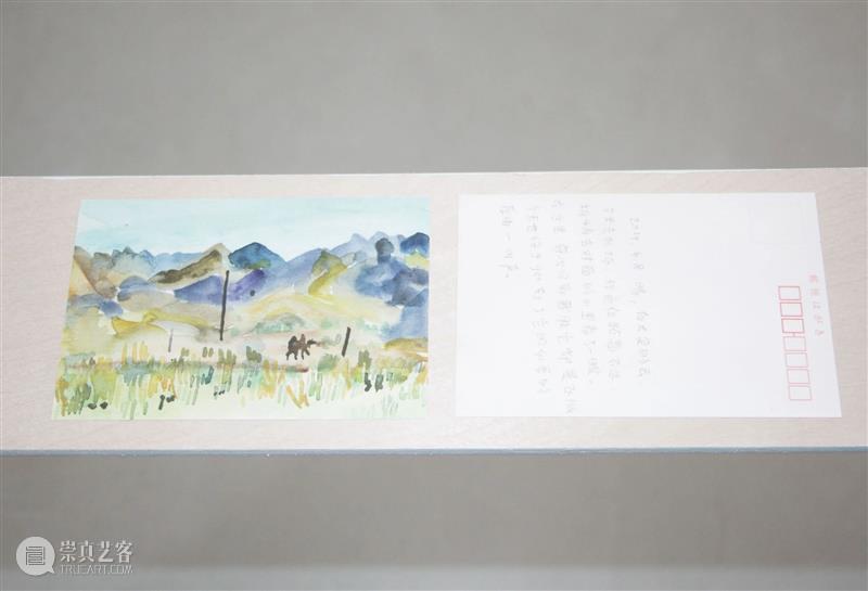 展览现场|咻咻 叽 咕 呖呖 卟噜卟噜 xiū xiū jī gū? lì lì? bǔ lū bǔ lū 崇真艺客