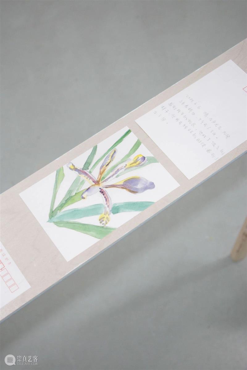 展览现场|咻咻 叽 咕 呖呖 卟噜卟噜 xiū xiū jī gū? lì lì? bǔ lū bǔ lū 崇真艺客