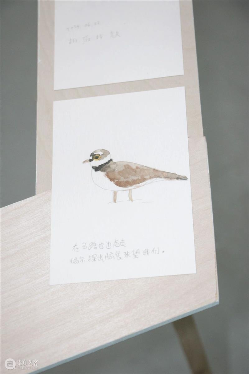 展览现场|咻咻 叽 咕 呖呖 卟噜卟噜 xiū xiū jī gū? lì lì? bǔ lū bǔ lū 崇真艺客