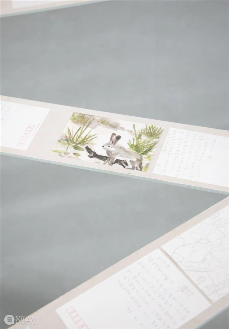 展览现场|咻咻 叽 咕 呖呖 卟噜卟噜 xiū xiū jī gū? lì lì? bǔ lū bǔ lū 崇真艺客