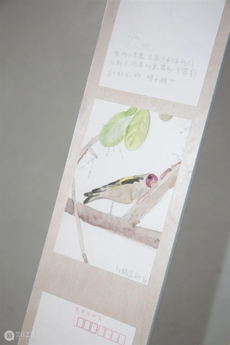 展览现场|咻咻 叽 咕 呖呖 卟噜卟噜 xiū xiū jī gū? lì lì? bǔ lū bǔ lū 崇真艺客