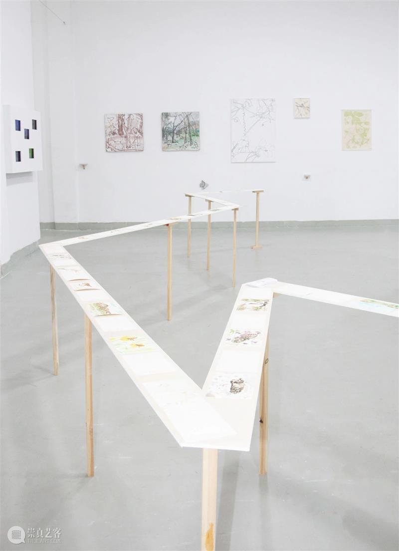 展览现场|咻咻 叽 咕 呖呖 卟噜卟噜 xiū xiū jī gū? lì lì? bǔ lū bǔ lū 崇真艺客