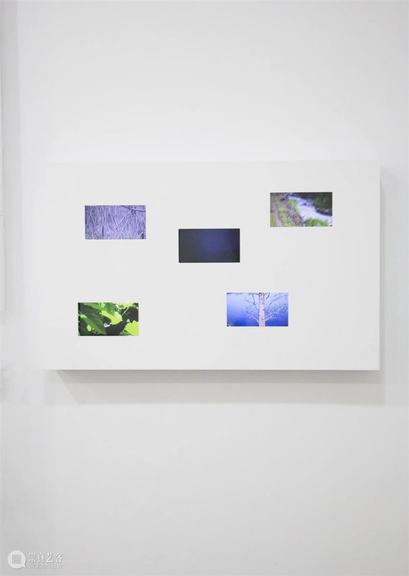 展览现场|咻咻 叽 咕 呖呖 卟噜卟噜 xiū xiū jī gū? lì lì? bǔ lū bǔ lū 崇真艺客