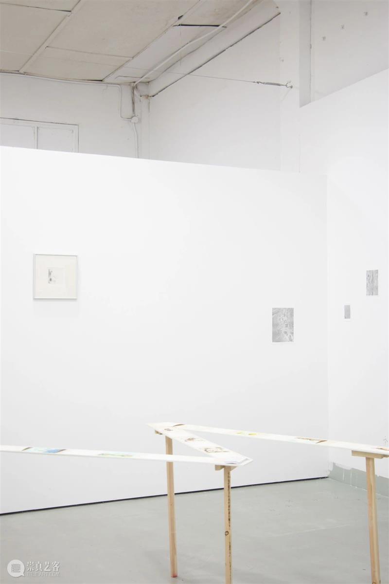 展览现场|咻咻 叽 咕 呖呖 卟噜卟噜 xiū xiū jī gū? lì lì? bǔ lū bǔ lū 崇真艺客