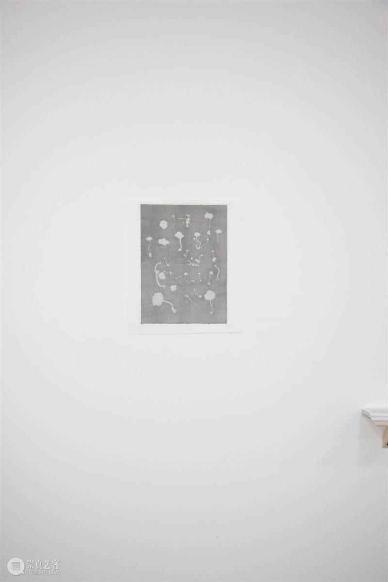 展览现场|咻咻 叽 咕 呖呖 卟噜卟噜 xiū xiū jī gū? lì lì? bǔ lū bǔ lū 崇真艺客