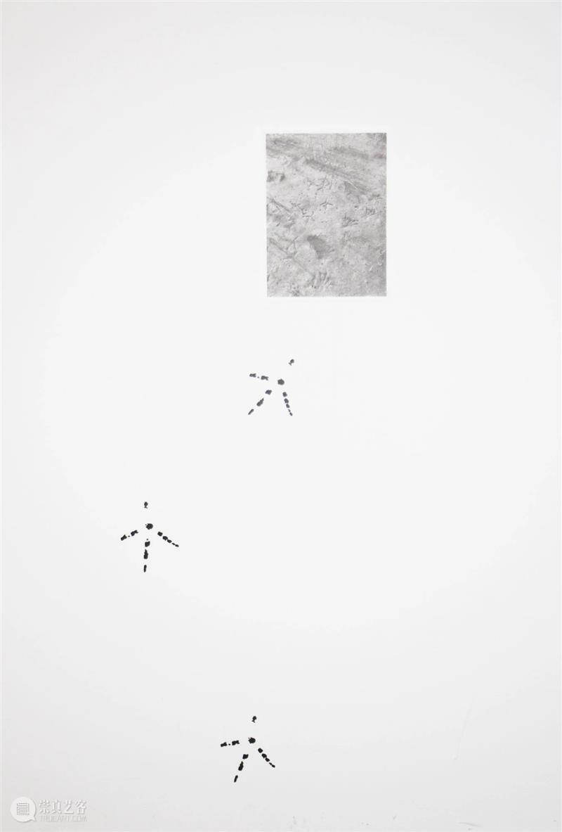 展览现场|咻咻 叽 咕 呖呖 卟噜卟噜 xiū xiū jī gū? lì lì? bǔ lū bǔ lū 崇真艺客