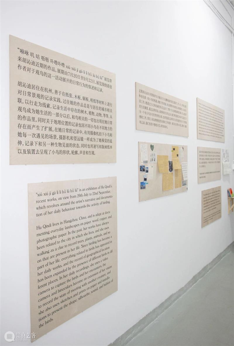 展览现场|咻咻 叽 咕 呖呖 卟噜卟噜 xiū xiū jī gū? lì lì? bǔ lū bǔ lū 崇真艺客