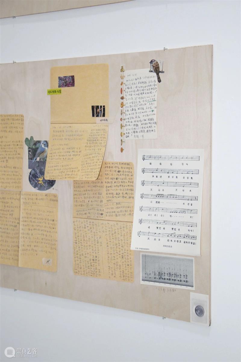展览现场|咻咻 叽 咕 呖呖 卟噜卟噜 xiū xiū jī gū? lì lì? bǔ lū bǔ lū 崇真艺客