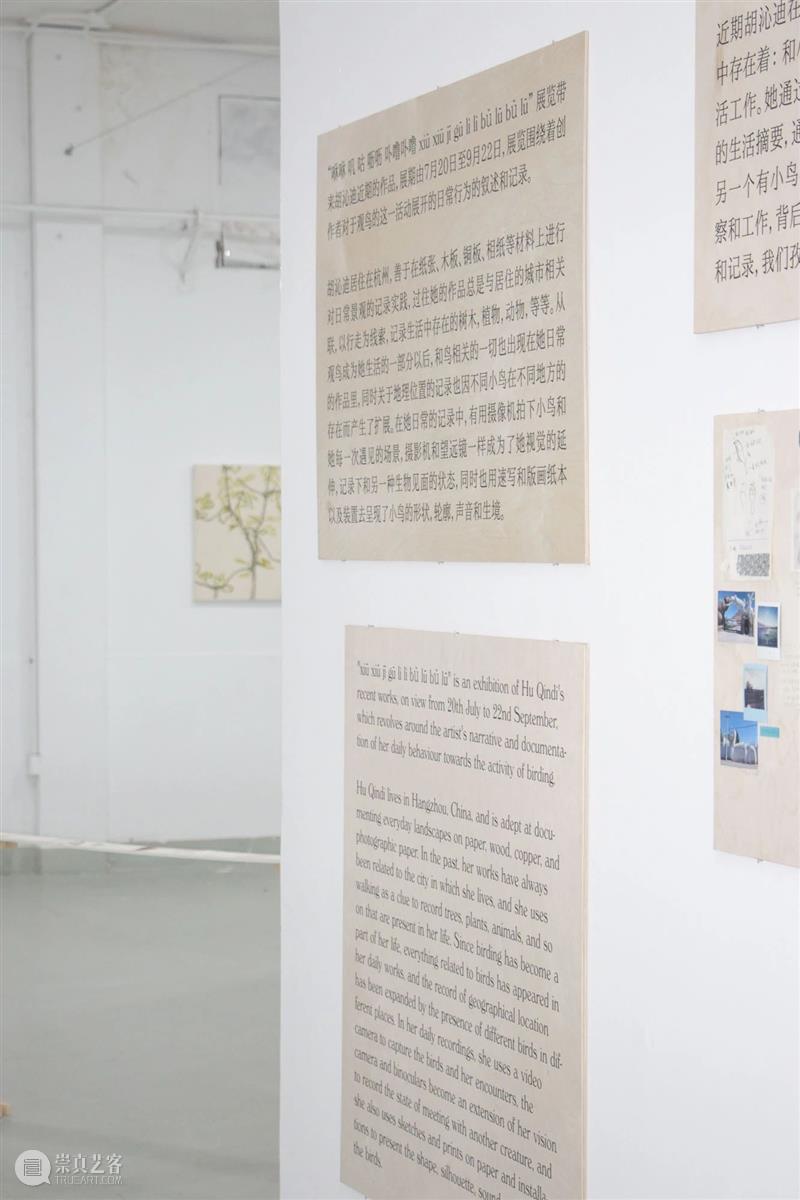 展览现场|咻咻 叽 咕 呖呖 卟噜卟噜 xiū xiū jī gū? lì lì? bǔ lū bǔ lū 崇真艺客