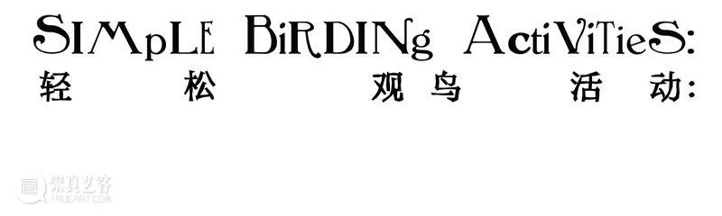 展览现场|咻咻 叽 咕 呖呖 卟噜卟噜 xiū xiū jī gū? lì lì? bǔ lū bǔ lū 崇真艺客