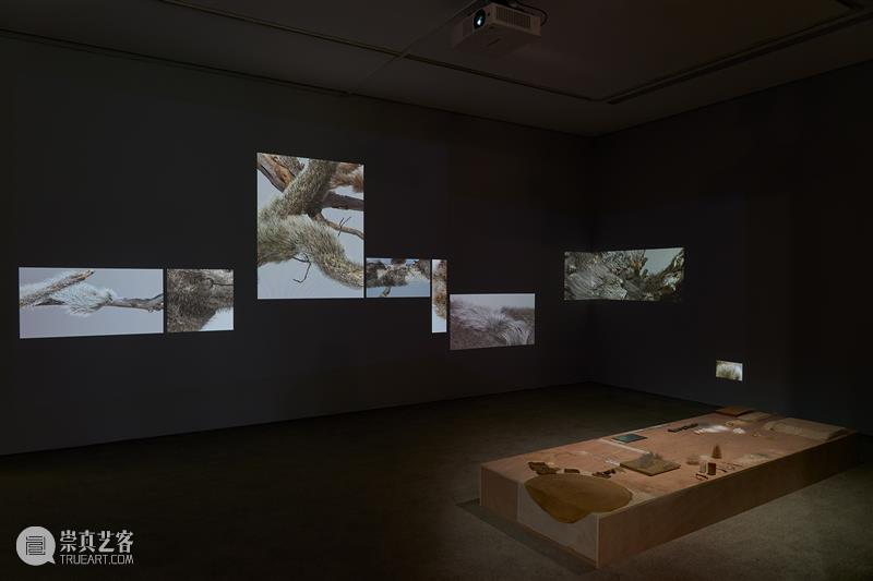 「松」展览｜化身：自我意识的化身即是纪念碑。 崇真艺客