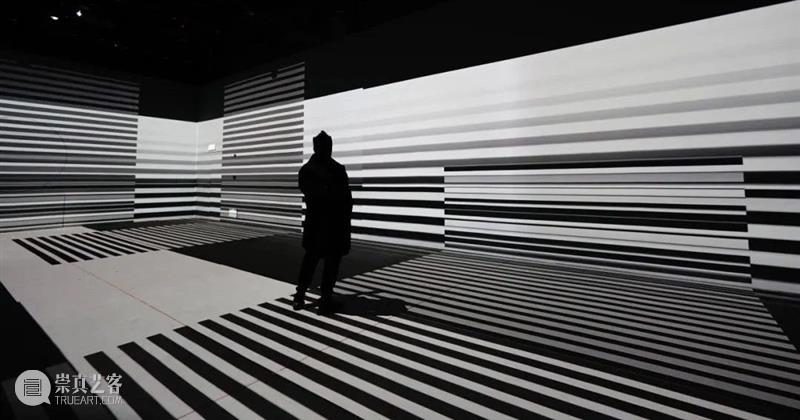 上海8月 | 21个不可错过的新媒体艺术展·演 崇真艺客