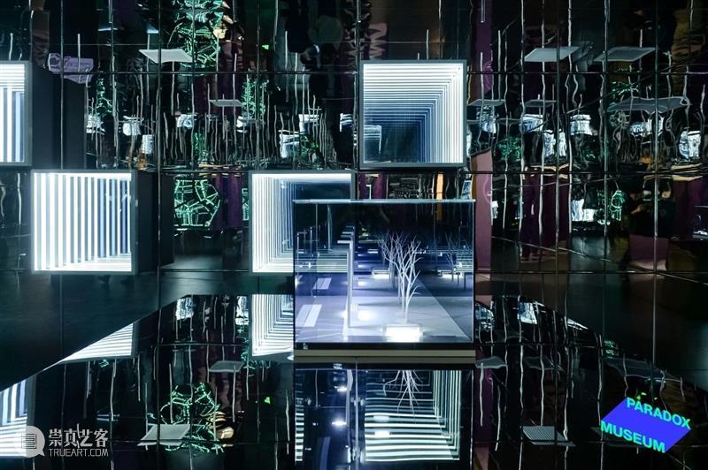 上海8月 | 21个不可错过的新媒体艺术展·演 崇真艺客
