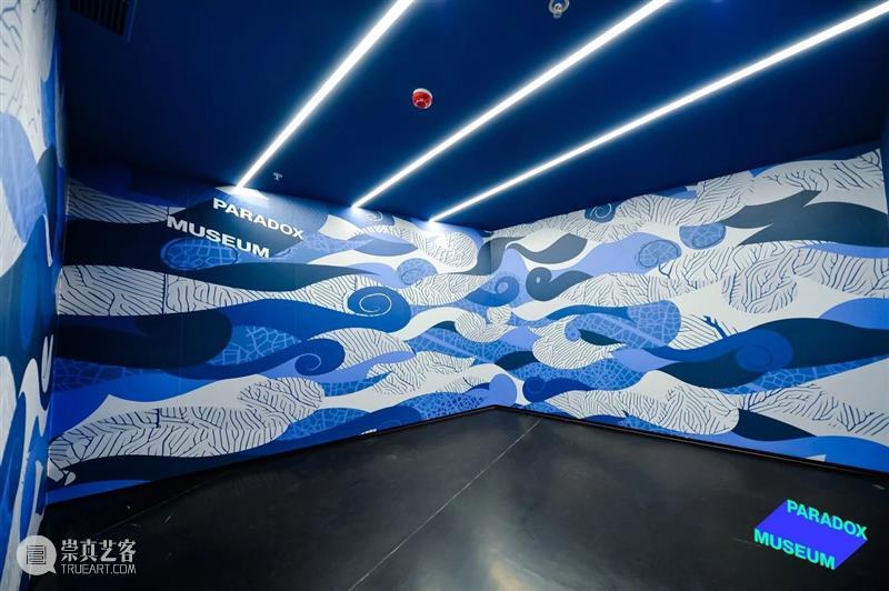 上海8月 | 21个不可错过的新媒体艺术展·演 崇真艺客