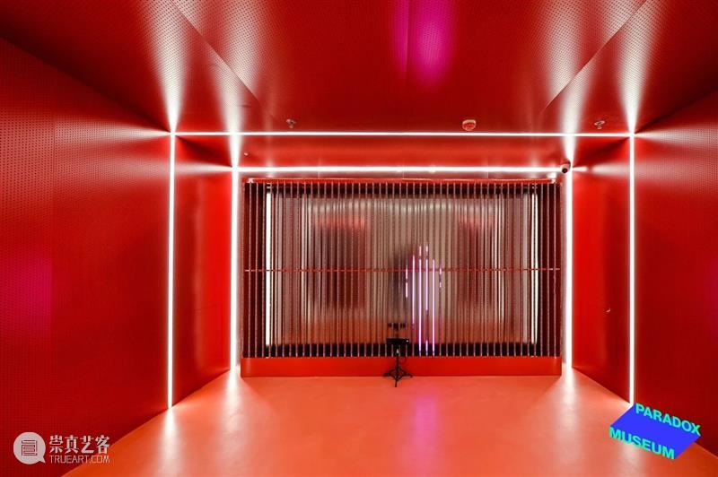 上海8月 | 21个不可错过的新媒体艺术展·演 崇真艺客