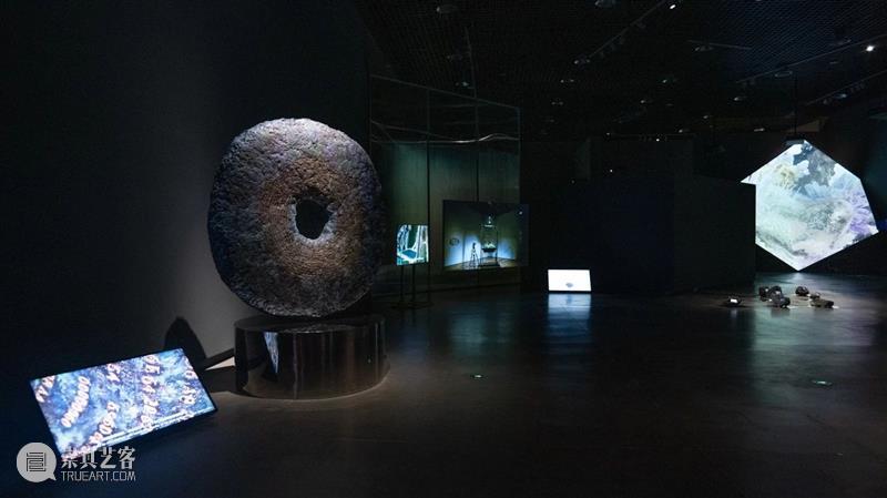走进双年展丨对话策展人 邢丹  新疆美术馆 崇真艺客