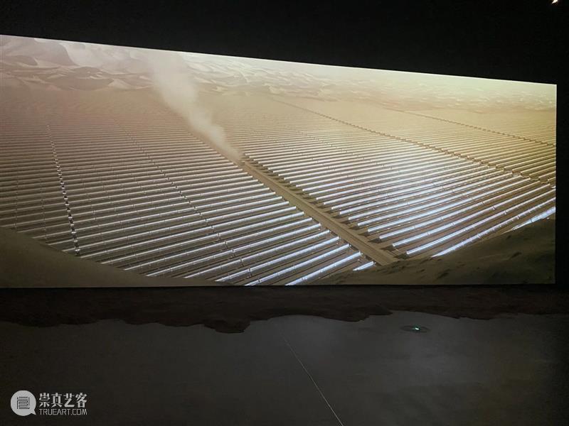 走进双年展丨对话策展人 邢丹  新疆美术馆 崇真艺客