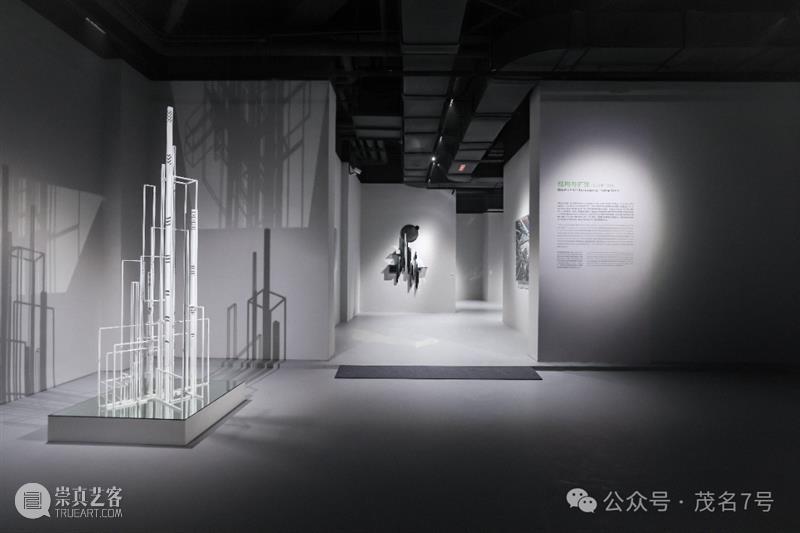 J7 ART | 艺术家聚焦 | 托马斯·坎托 Thomas Canto 崇真艺客