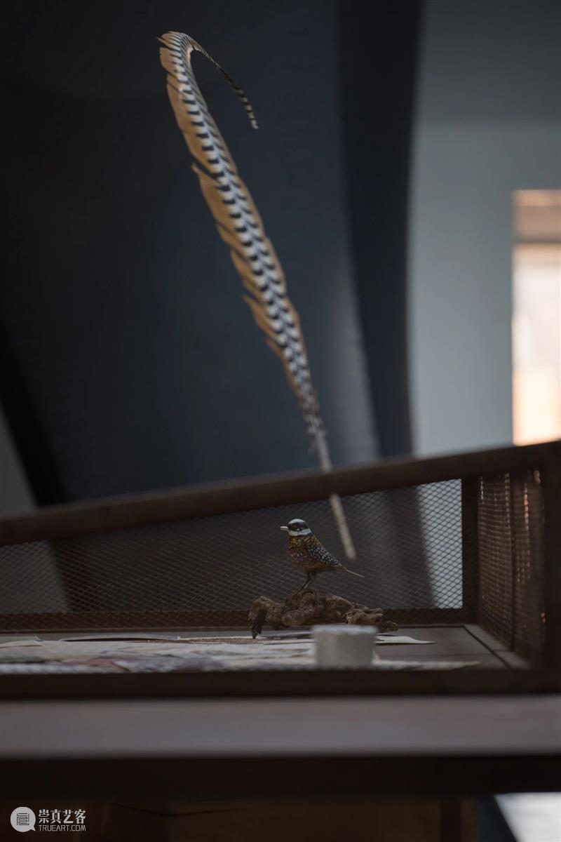 漂浮的迷宫 | 胡昀：远山 崇真艺客