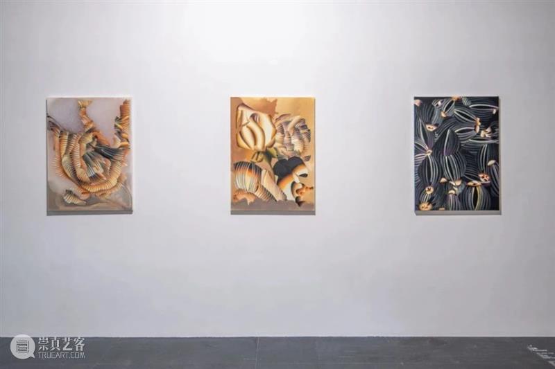 来新津，看最老的古街和最新的“巴黎” 崇真艺客