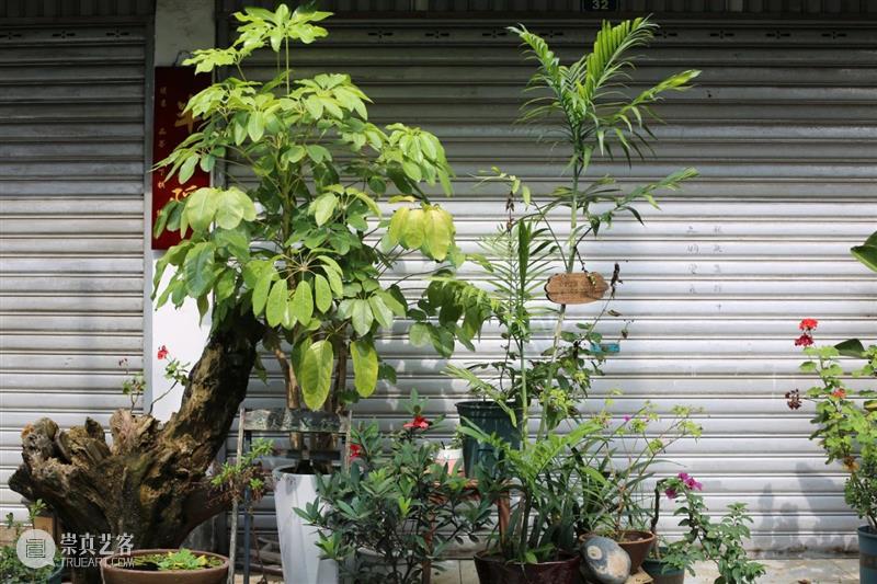 来新津，看最老的古街和最新的“巴黎” 崇真艺客