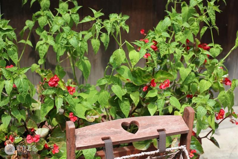 来新津，看最老的古街和最新的“巴黎” 崇真艺客