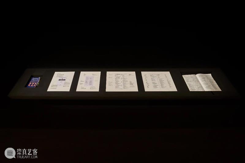 展览解读｜陈哲、刘成瑞、施勇、陆平原：“不一定是文学的东西”  ASE基金会 崇真艺客