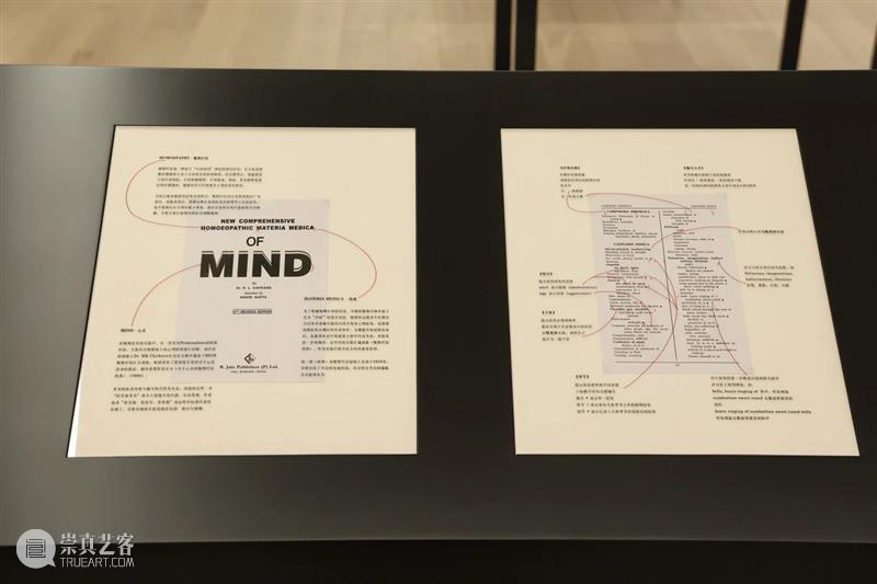 展览解读｜陈哲、刘成瑞、施勇、陆平原：“不一定是文学的东西”  ASE基金会 崇真艺客