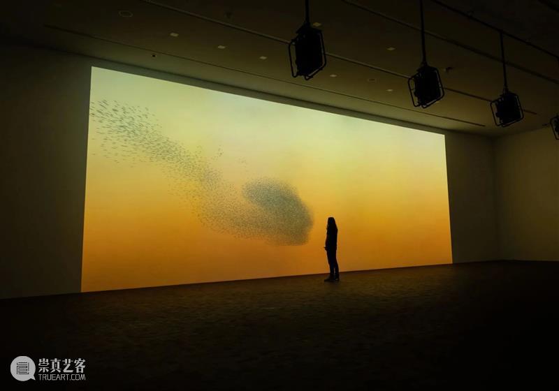 DRIFT_梵·高与星空 | 国家美术·视界 视频资讯 崇真艺客