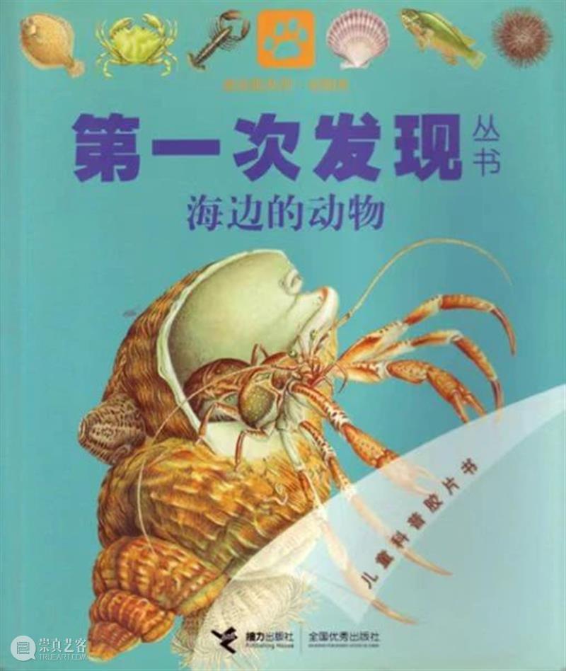 TAG西海美育X青岛贝壳博物馆 | 儿童绘本工作坊——贝壳涂鸦变身记 崇真艺客