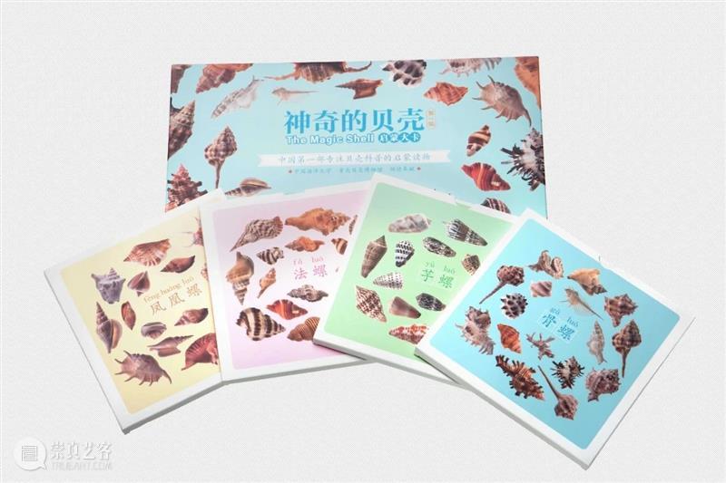 TAG西海美育X青岛贝壳博物馆 | 儿童绘本工作坊——贝壳涂鸦变身记 崇真艺客