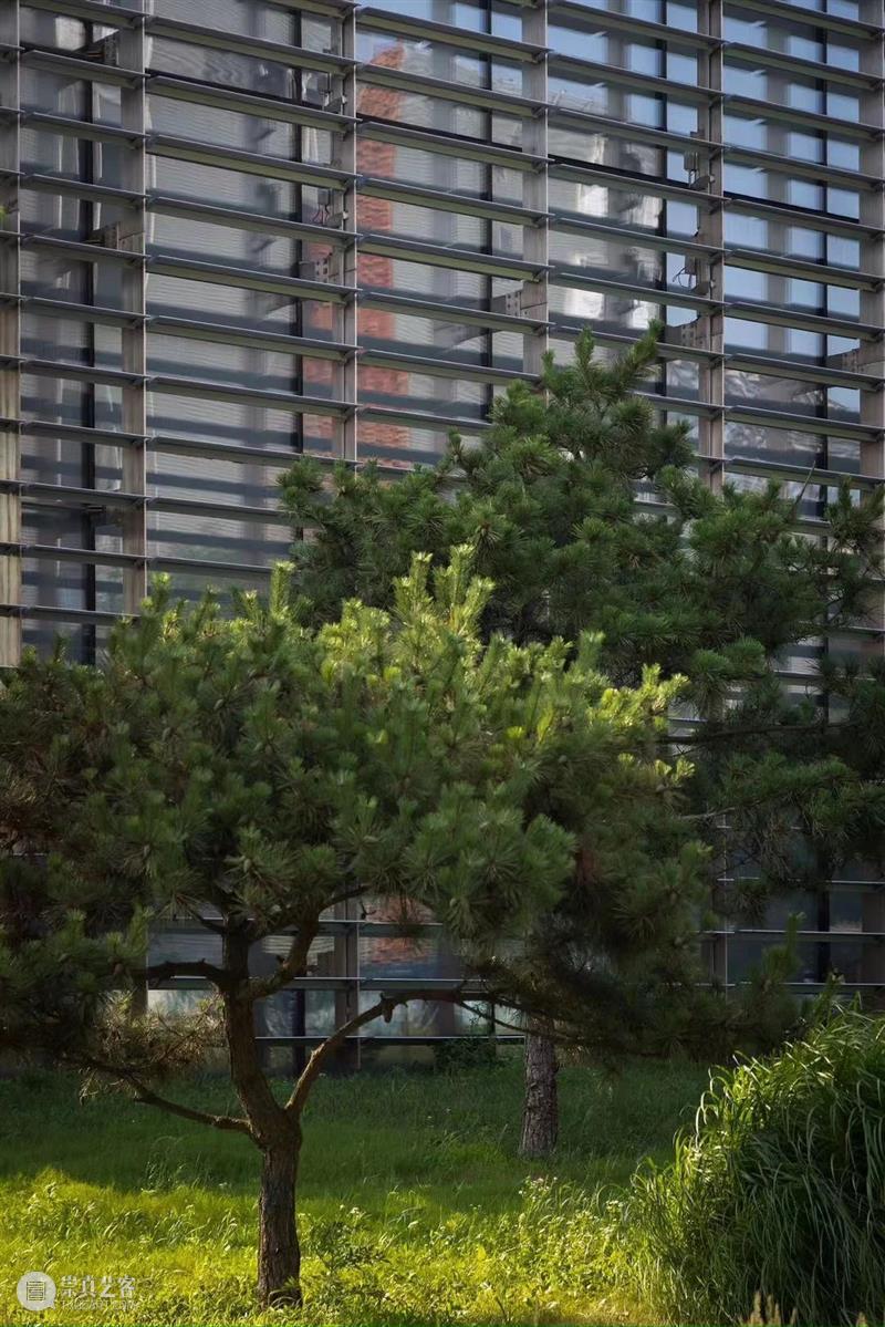 TAG西海美育X青岛贝壳博物馆 | 儿童绘本工作坊——贝壳涂鸦变身记 崇真艺客