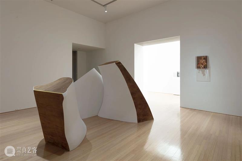 佩斯画廊宣布代理日本艺术家冈崎乾二郎 Kenjiro Okazaki 崇真艺客