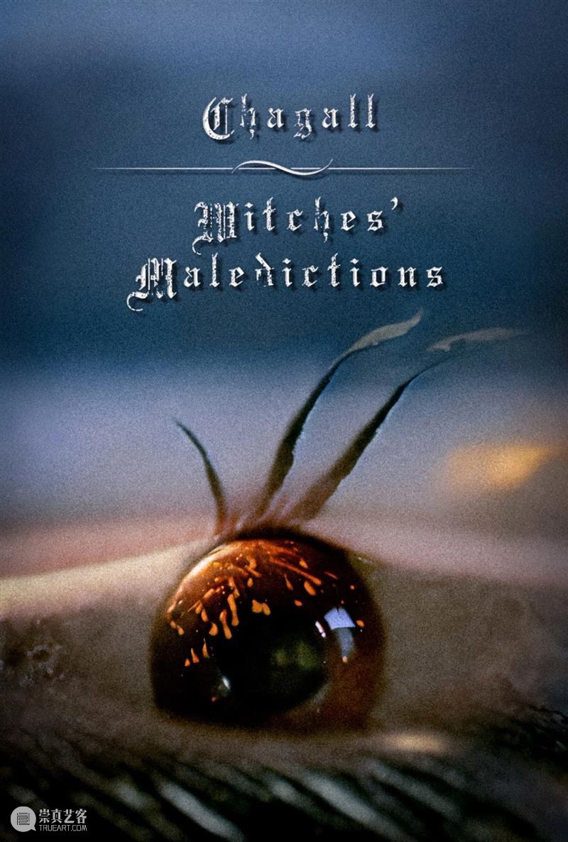 影像艺术交流丨UCCA × ONED先锋影像 崇真艺客