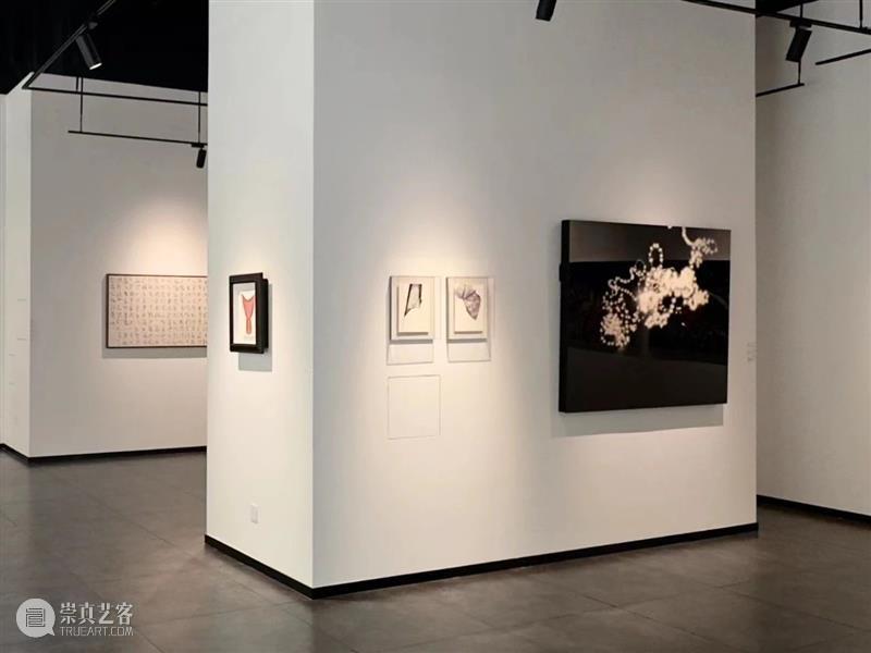 艺术家|蒋鹏奕近期展览合集 崇真艺客
