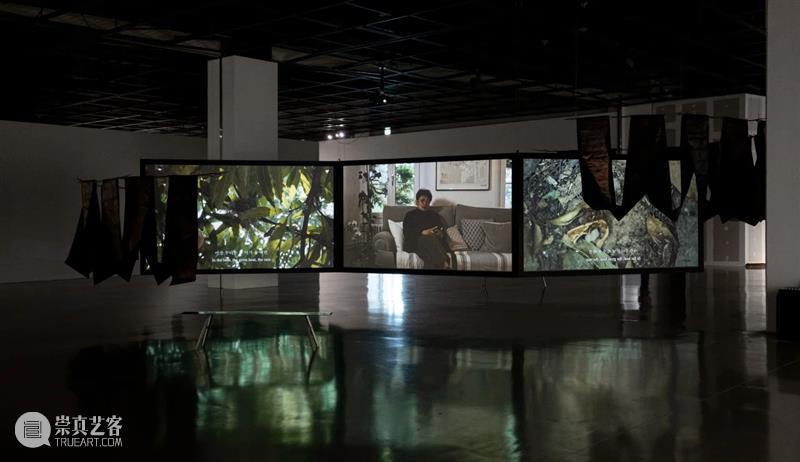 艺术家 | 韩梦云《夜经》(Night Sutra) | 2024年釜山双年展  韩梦云工作室 韩梦云 艺术家 釜山 夜经 公众 管锥计划http: biz=MzkxMjcyNTA4Nw== sound minutes Mengyun 崇真艺客