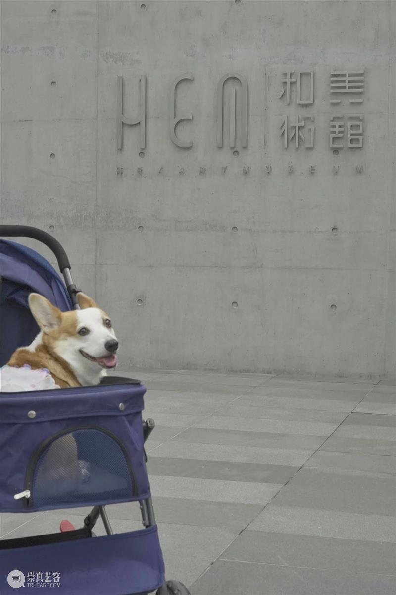 萌宠观展装备升级啦｜ITO @ HEM 崇真艺客