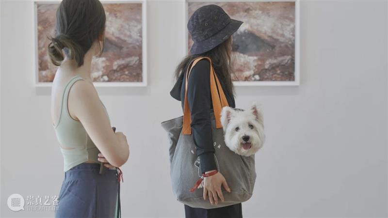 萌宠观展装备升级啦｜ITO @ HEM 崇真艺客