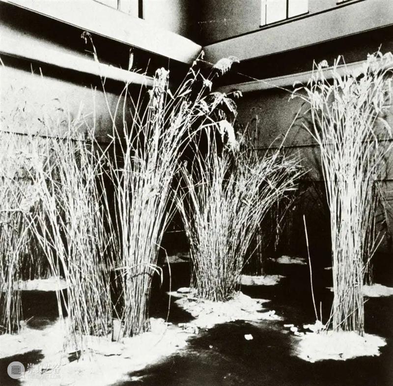 艺术家|李康昭 Lee Kang-So 崇真艺客