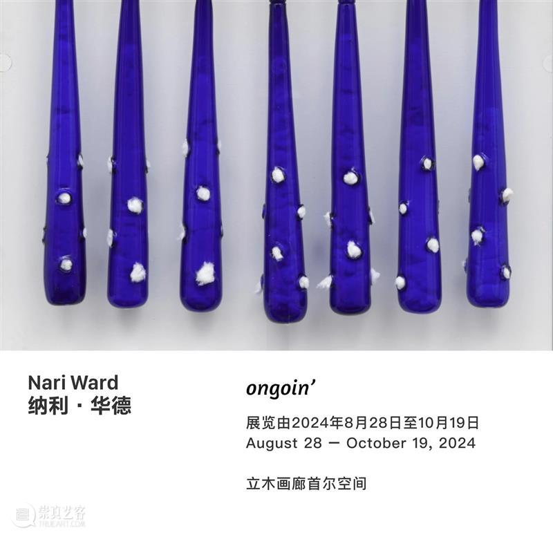 拉里·皮特曼：当一位男性成为女性主义艺术家 崇真艺客