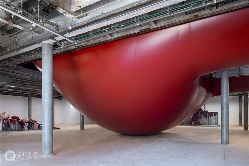 美术馆展览丨巴西圣保罗Casa Bradesco艺术空间即将呈现安尼施·卡普尔个展“炎症” 炎症 卡普尔 圣保罗 巴西 安尼 个展 Bradesco艺术空间 话题 艺术家 Kapoor 崇真艺客
