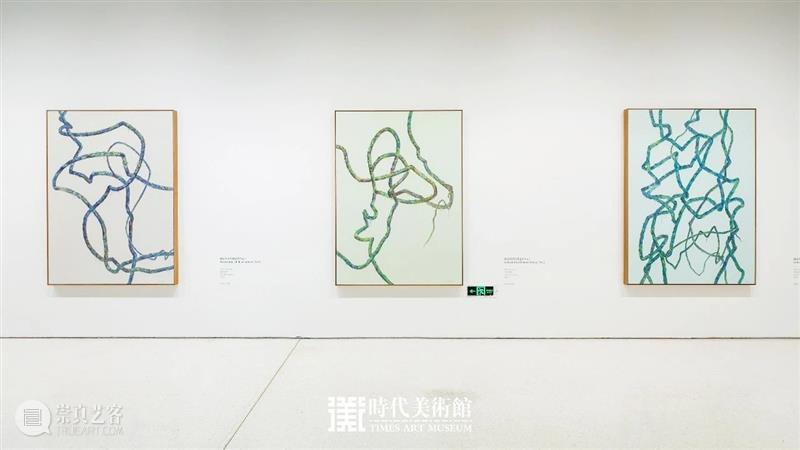 时代·新展| 狭窄的四季——吴笛笛个展正式开展  北京时代美术馆 吴笛笛 个展 时代 新展 北京时代美术馆 展期 馆长 刘威威 学术 清华大学人文学院 崇真艺客