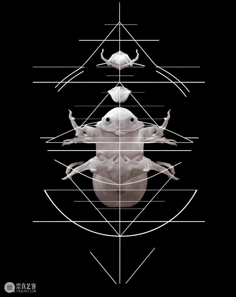 北京9月 |17个不可错过的新媒体艺术展 崇真艺客