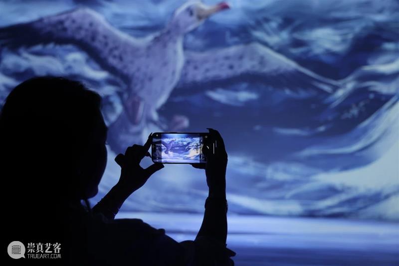北京9月 |17个不可错过的新媒体艺术展 崇真艺客