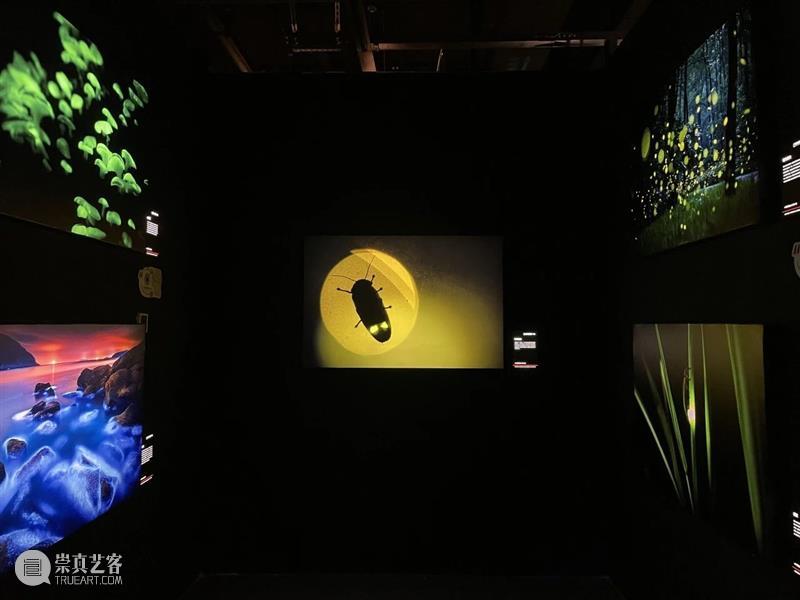 北京9月 |17个不可错过的新媒体艺术展 崇真艺客