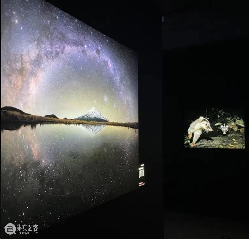 北京9月 |17个不可错过的新媒体艺术展 崇真艺客