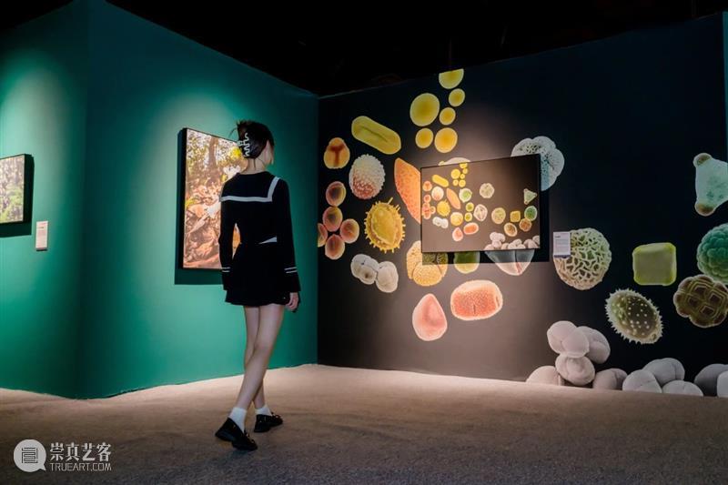 北京9月 |17个不可错过的新媒体艺术展 崇真艺客