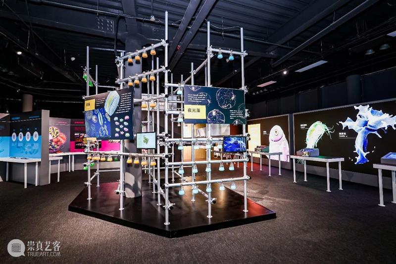 北京9月 |17个不可错过的新媒体艺术展 崇真艺客